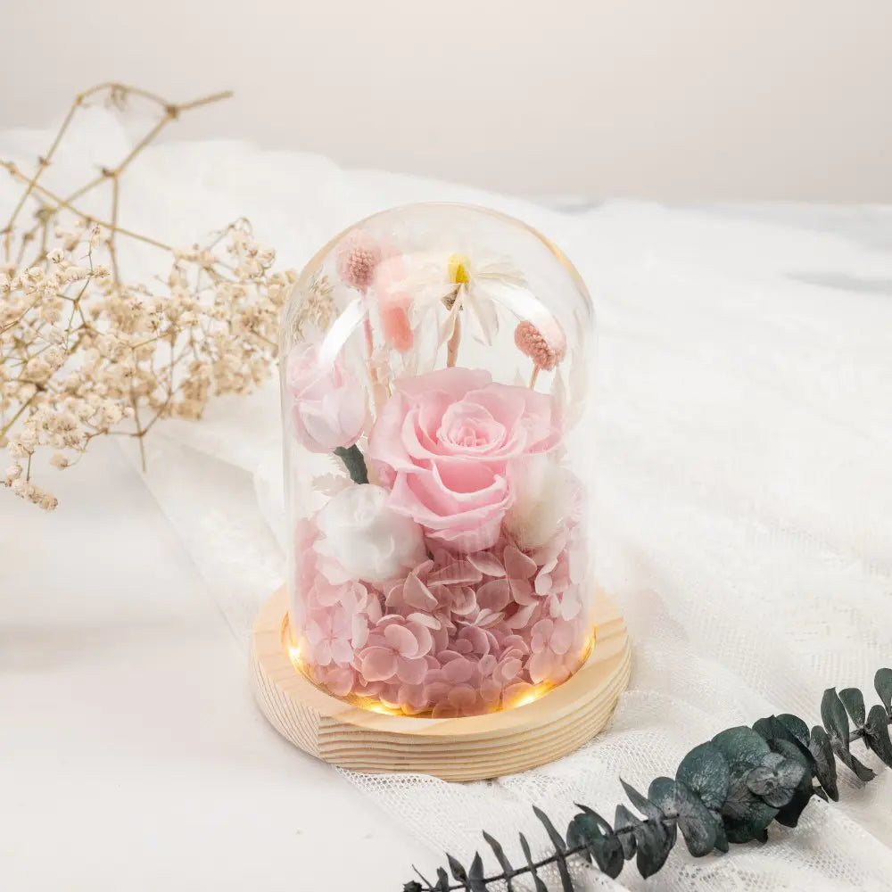 Preserved Flower in Glass Dome，20250507-11