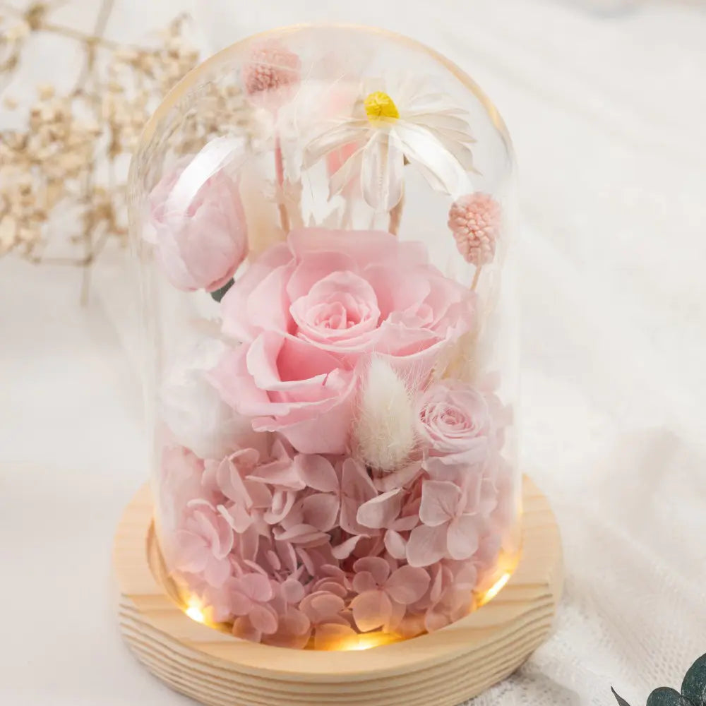 Preserved Flower in Glass Dome，20250507-12