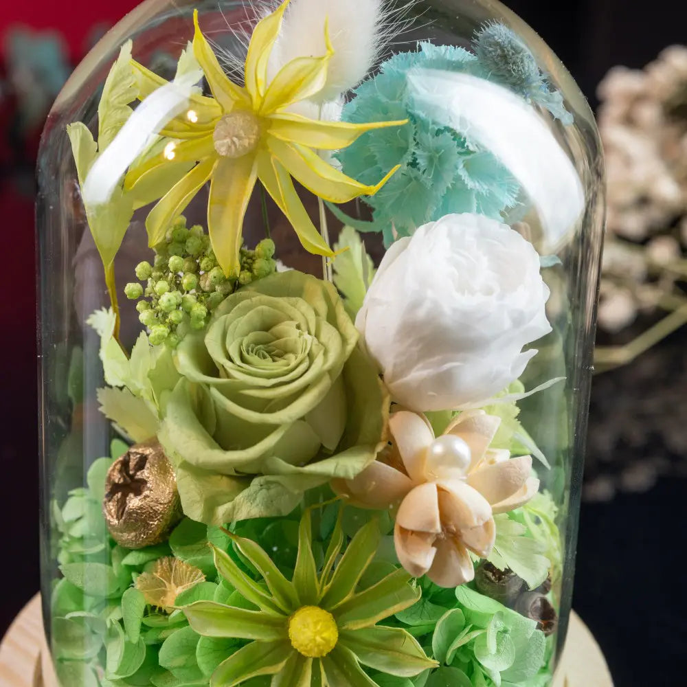 Preserved Flower in Glass Dome，20250507-14