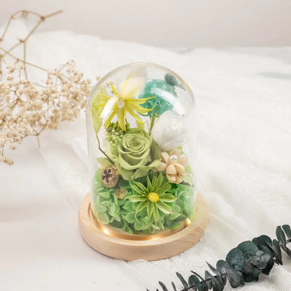 Preserved Flower in Glass Dome，20250507-15