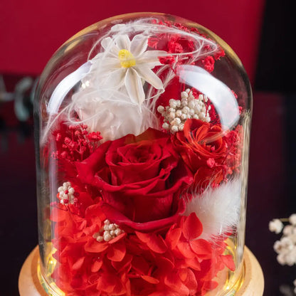 Preserved Flower in Glass Dome，20250507-3