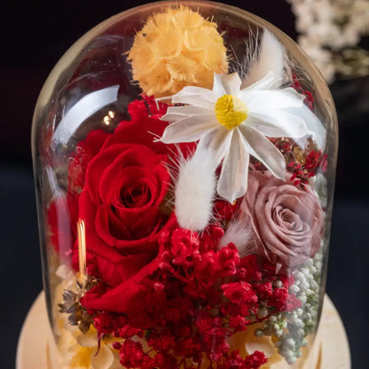 Preserved Flower in Glass Dome，20250507-4