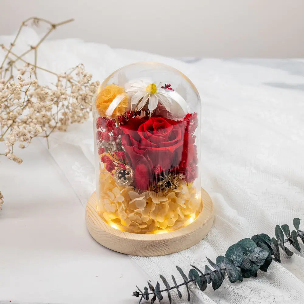 Preserved Flower in Glass Dome，20250507-5