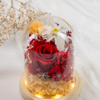 Preserved Flower in Glass Dome，20250507-6