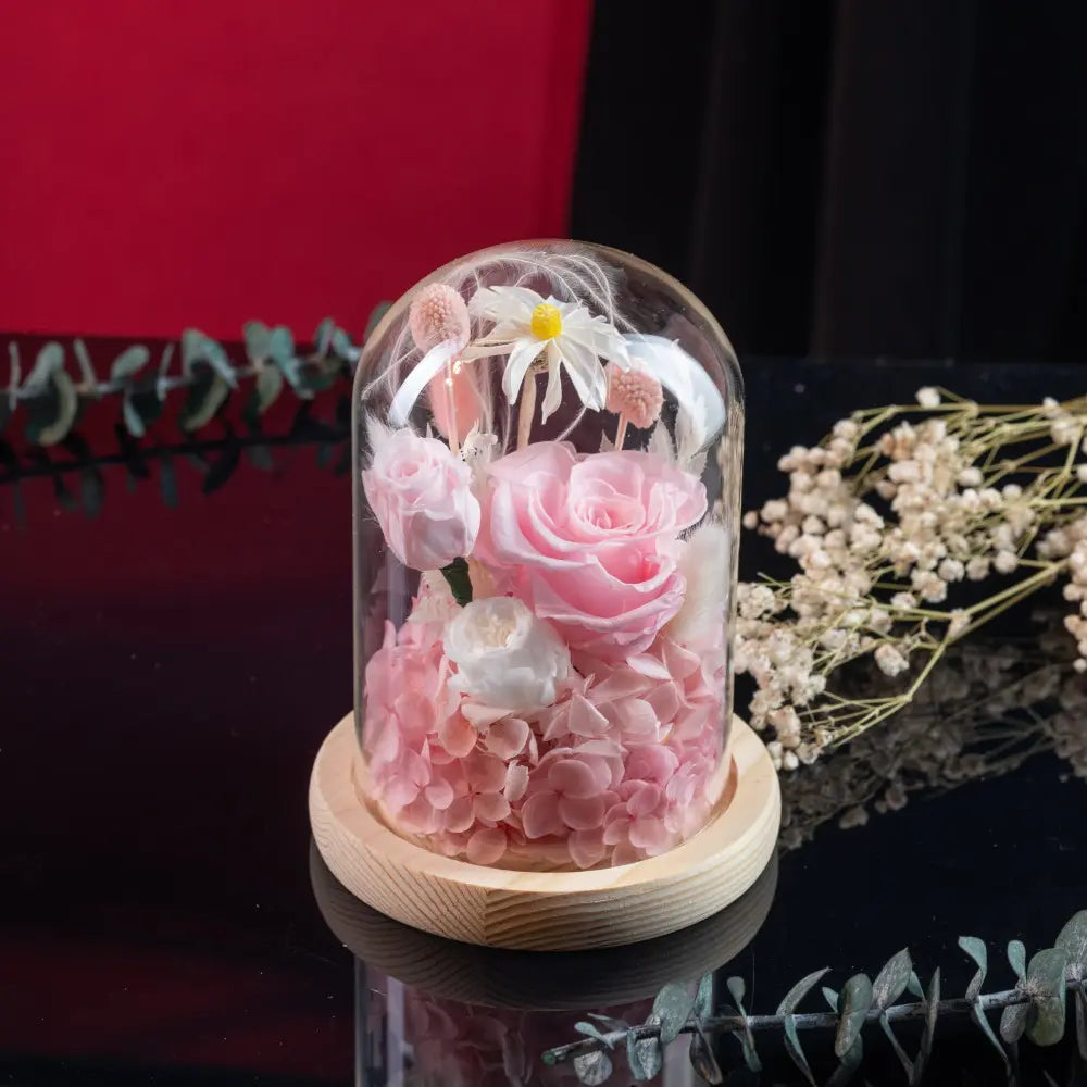 Preserved Flower in Glass Dome，20250507-8