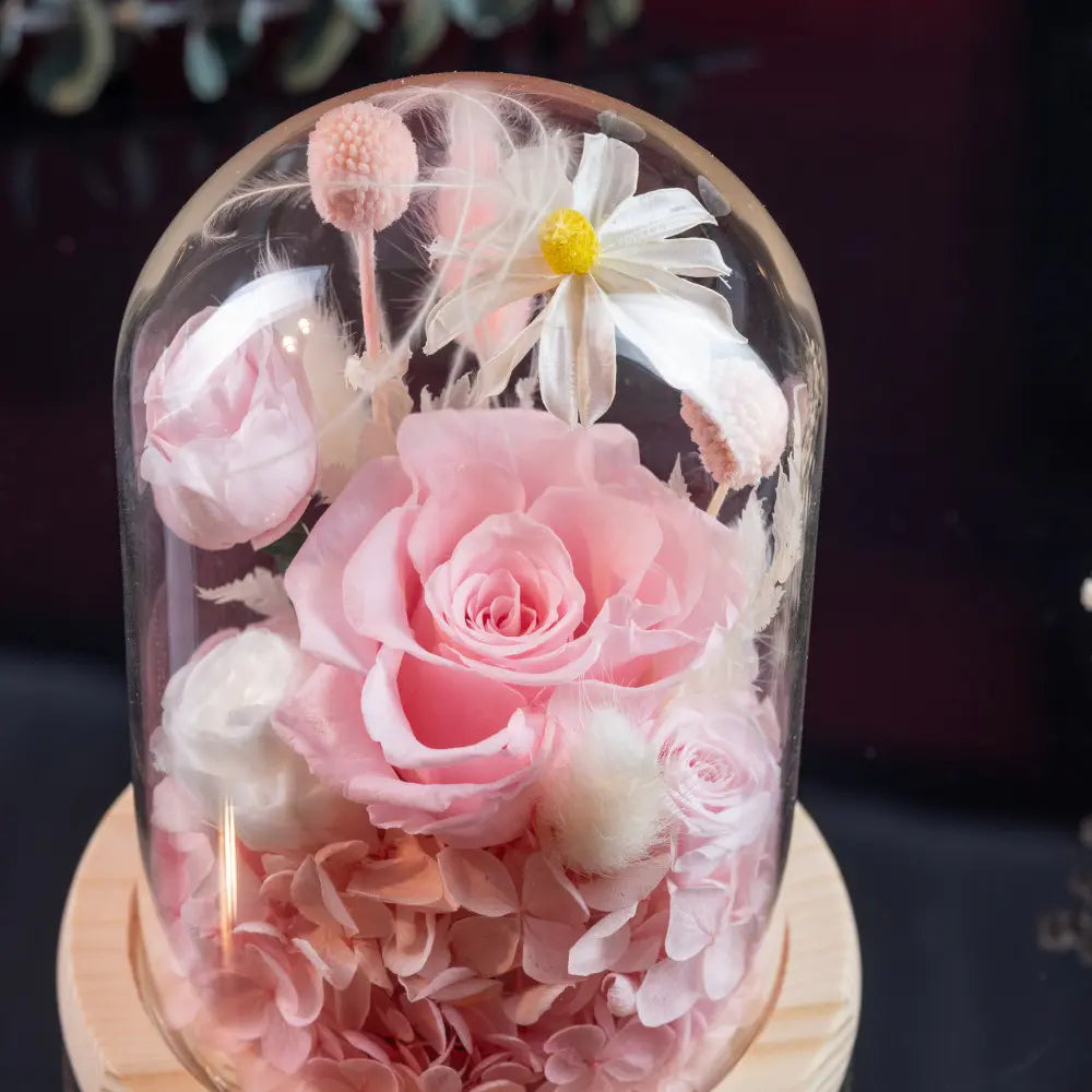 Preserved Flower in Glass Dome，20250507-9