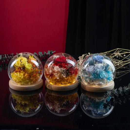 Preserved Roses in Glass Dome，20250506-1