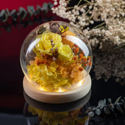 Preserved Roses in Glass Dome，20250506-10