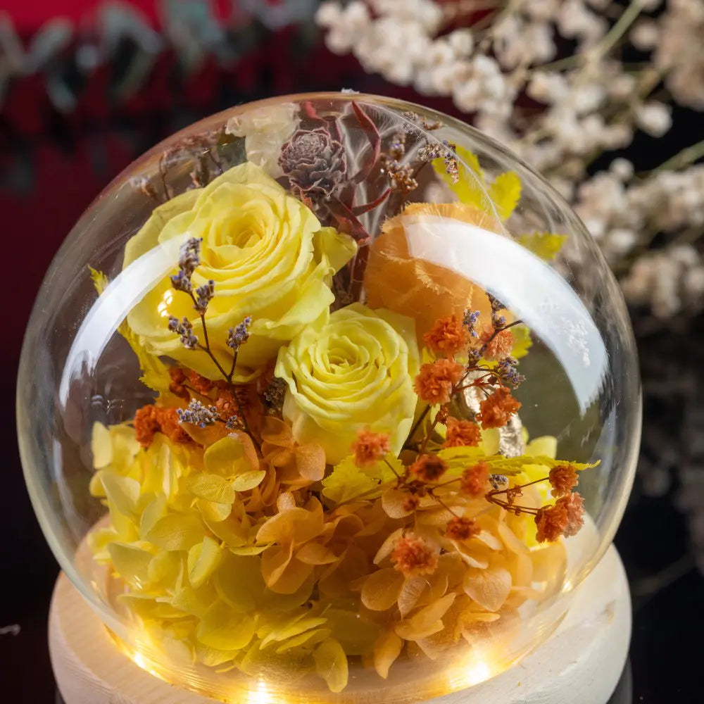 Preserved Roses in Glass Dome，20250506-11