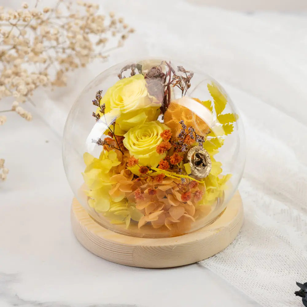 Preserved Roses in Glass Dome，20250506-12