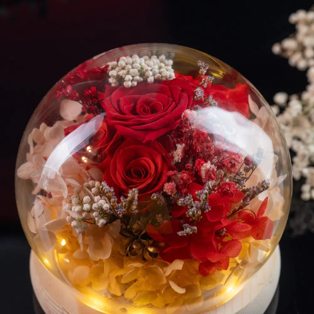 Preserved Roses in Glass Dome，20250506-3