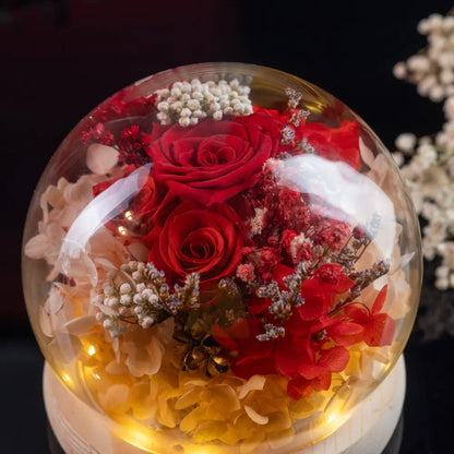 Preserved Roses in Glass Dome，20250506-3