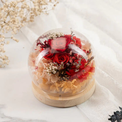 Preserved Roses in Glass Dome，20250506-4