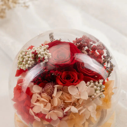 Preserved Roses in Glass Dome，20250506-5