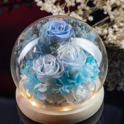 Preserved Roses in Glass Dome，20250506-6
