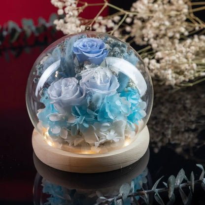 Preserved Roses in Glass Dome，20250506-7
