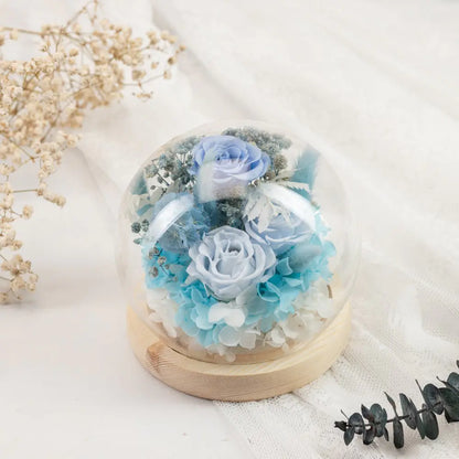 Preserved Roses in Glass Dome，20250506-8