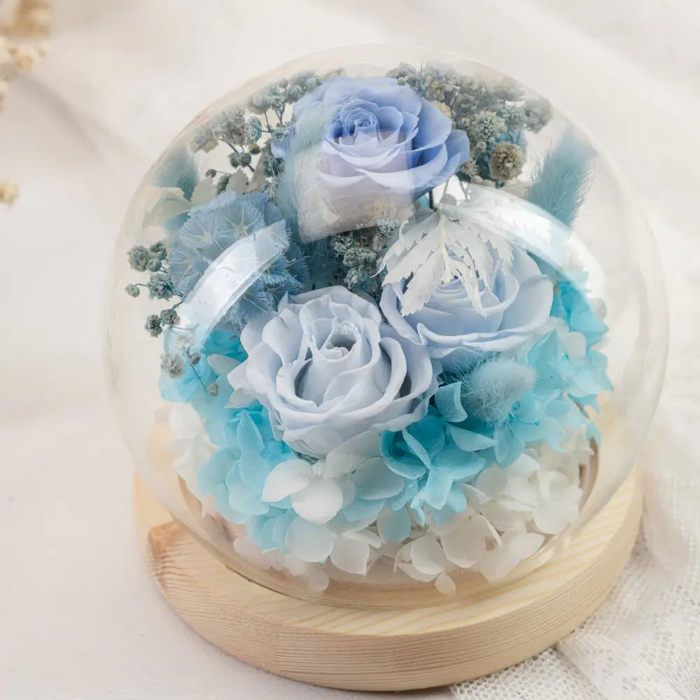 Preserved Roses in Glass Dome，20250506-9