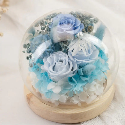Preserved Roses in Glass Dome，20250506-9