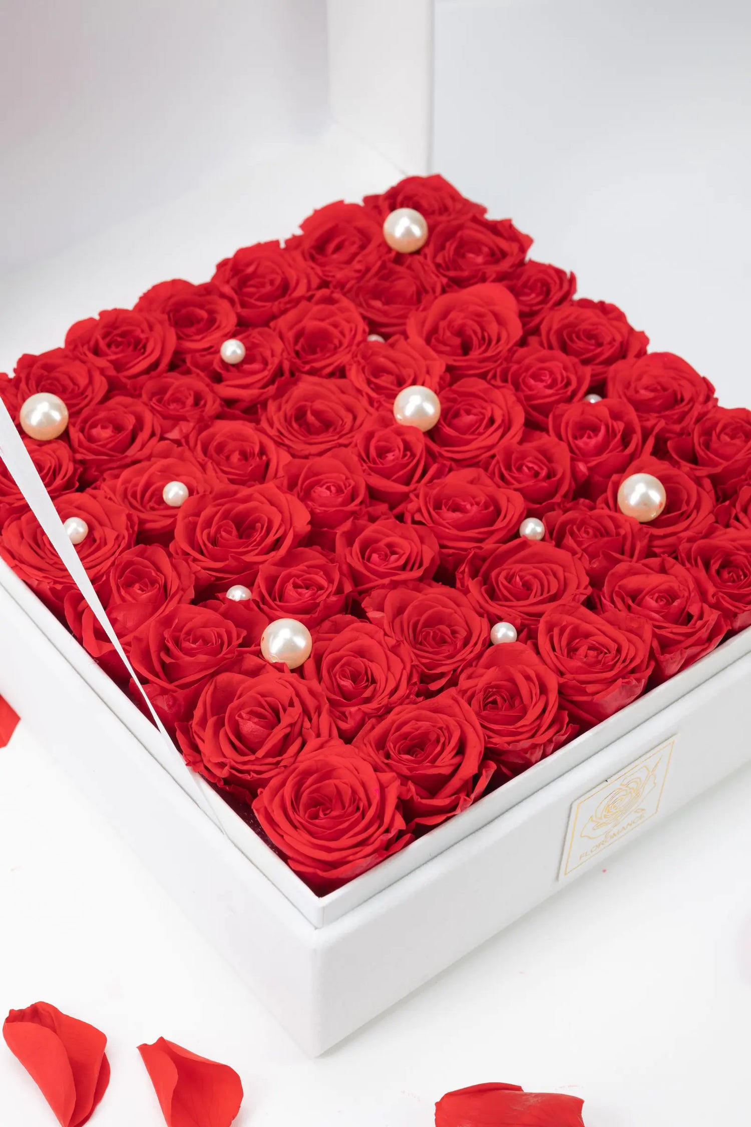 Teacher_s_Day_Gift_20250418-4