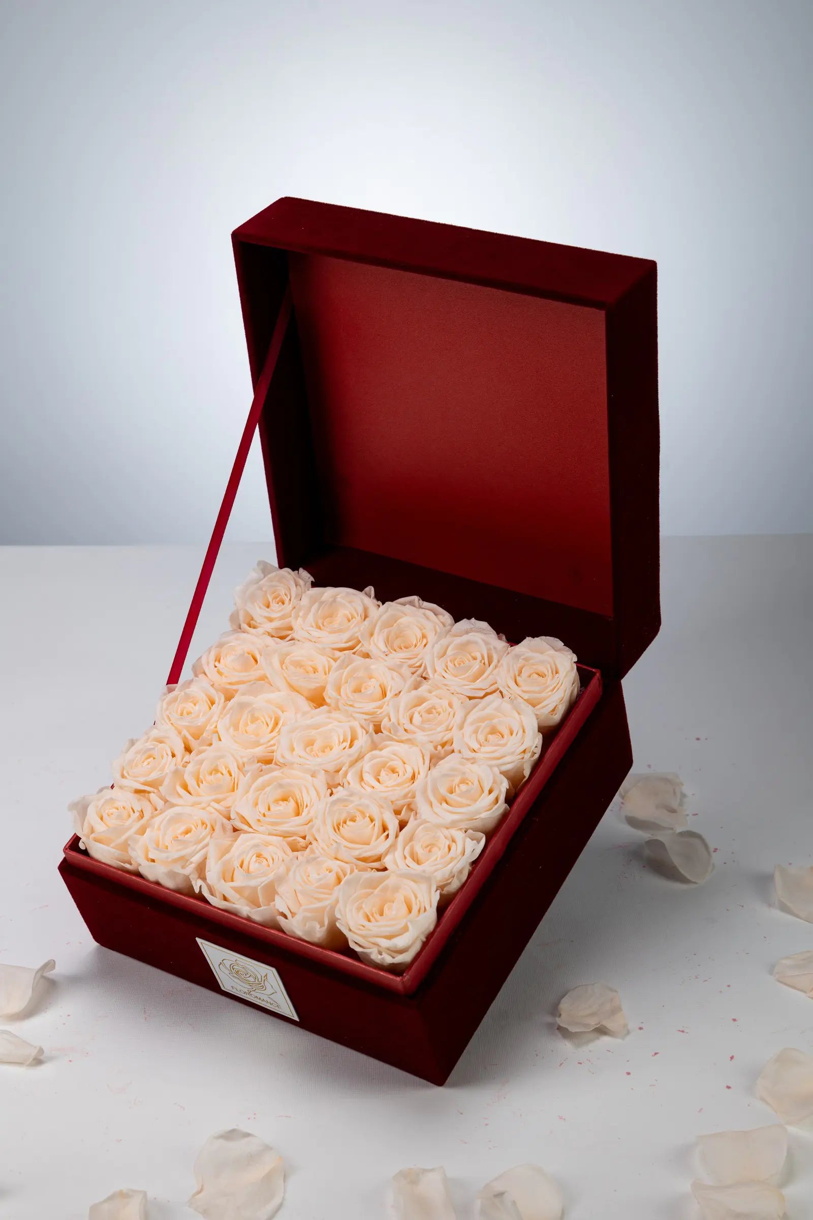 Thanksgiving Gift，20250417-7